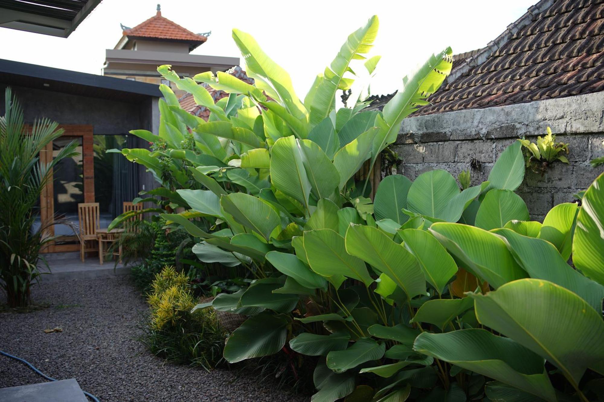Dedeane Ubud Exterior photo