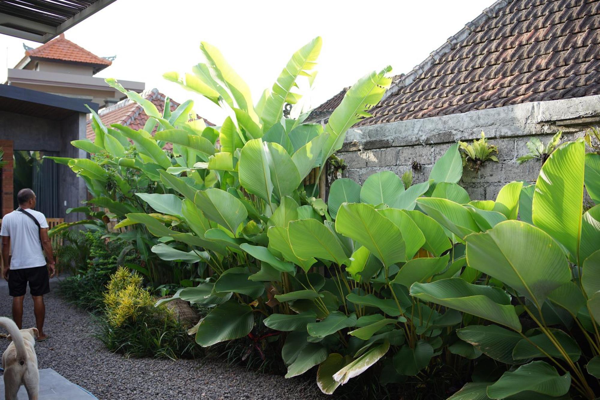 Dedeane Ubud Exterior photo